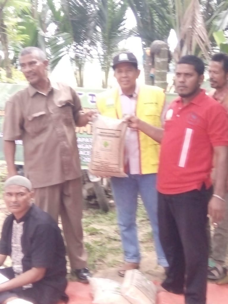 Kinerja Penyuluh Pertanian pada Kelompok Tani Padi Sawah