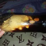 Bawang (Lanang) Putih di Rendam Madu 7 Hari Miliki Khasiat Tinggi, di Minum Sebelum Sarapan