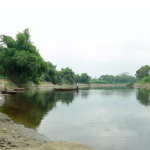 Matinya Ribuan Ikan Sungai Bengawan Solo, Diduga Tercemar Alkohol & Ethanol