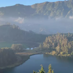 Destinasi Wisata Hutan Pinus, Bikin Betah Mata Mamandang