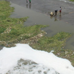 Busa Misterius, Sempat Memenuhi Bendung Tirtonadi Solo