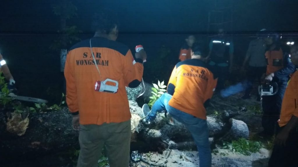 Pohon Tumbang Timpa Truk Muatan Pasir di Jalan Solo – Purwodadi