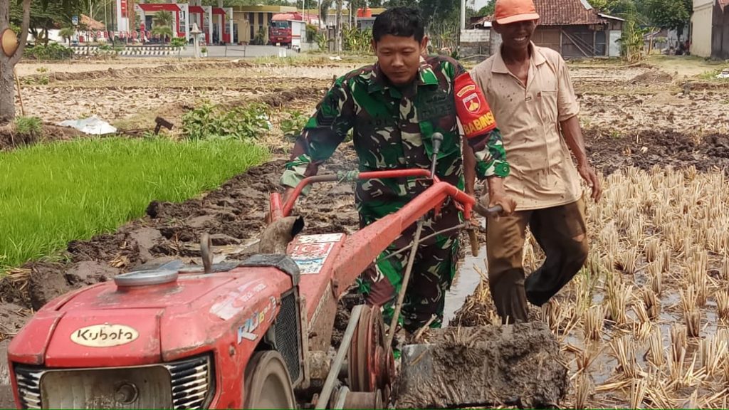 Babinsa Andong Motori Swasembada Pangan Daerah Binaan