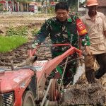 Babinsa Andong Motori Swasembada Pangan Daerah Binaan