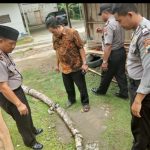 Di Desa Bonagung Tanon Warga Temukan Fosil, Diduga Fosil Gajah