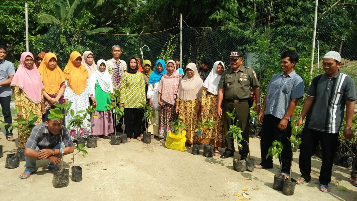 Hijaukan Lingkungan, Danramil 16/Miri Sragen Tanam Pohon 230 Batang