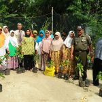 Hijaukan Lingkungan, Danramil 16/Miri Sragen Tanam Pohon 230 Batang
