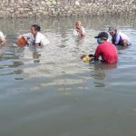 Korban PHK ramai-ramai turun ke Laut mencari kerang
