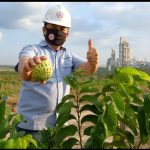 Semen Gresik Bersama Petani Menyulap Lahan Tandus Jadi Sentra Buah