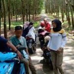 Satpol PP Karanganyar Jaring Pelajar di Kawasan Wisata, Mengaku Tak Tahu Alasan