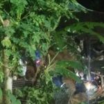 Longsor di Sejumlah Titik di Karanganyar, 1 Warga Tewas Tertimbun
