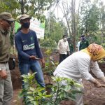 Budidaya Alpukat Pameling Kab. Malang Difasilitasi KUR Pertanian Rp 300 M