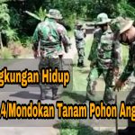 Koramil 14/Mondokan Jaga Lingkungan Hidup Tanam Pohon Angsana