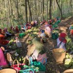 Desa Galeh Tetap Lestarikan Budaya Kearifan Lokal Bersih Desa, Warga Antusias Dan Peduli