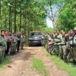 Patroli Gabungan Perum Perhutani KPH Purwodadi Bersama Polres Grobogan, Demi Pengamanan Hutan