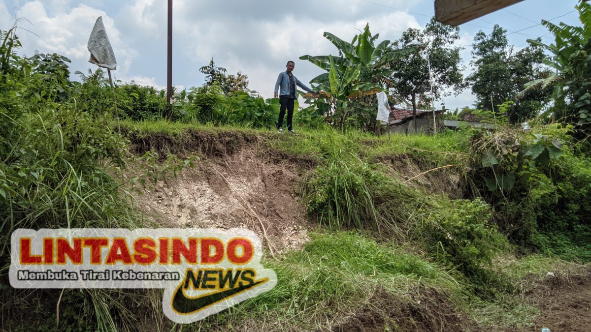 Jalan Tanah Longsor Desa Baleharjo Setinggi 3 Meter di Risaukan Warga, Belum Ada Penanganan Intensif