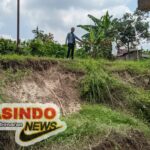 Jalan Tanah Longsor Desa Baleharjo Setinggi 3 Meter di Risaukan Warga, Belum Ada Penanganan Intensif