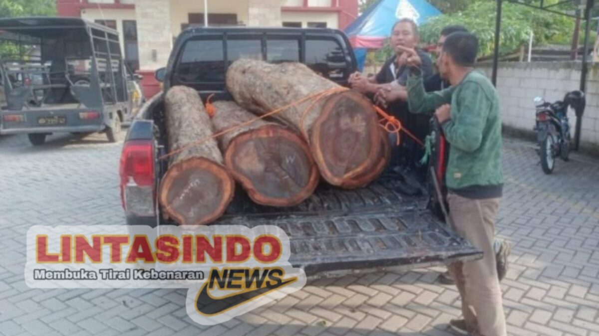 Bapak Bersama Anak Nekat Curi Kayu Hutan Di Wilayah BKPH Juworo Kini Wajib Lapor, Begini Alasannya!!