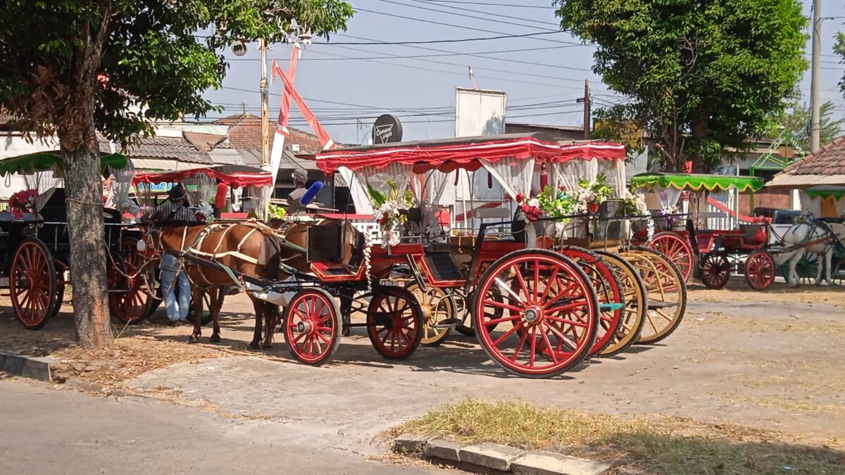 Seru!! Ribuan Warga Cemani Saksikan Kirab Budaya 2023