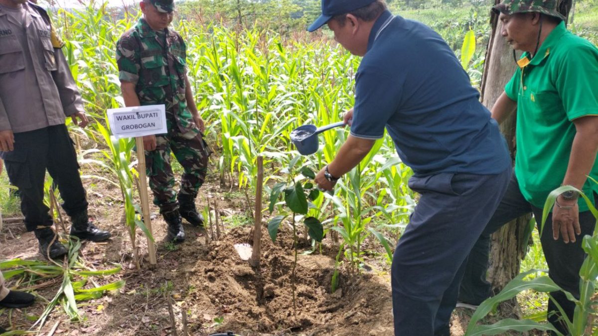 Wakil Bupati Grobogan Tanam 1000 Bibit Alpukat Bersama Pesanggem di RPH Kedungombo