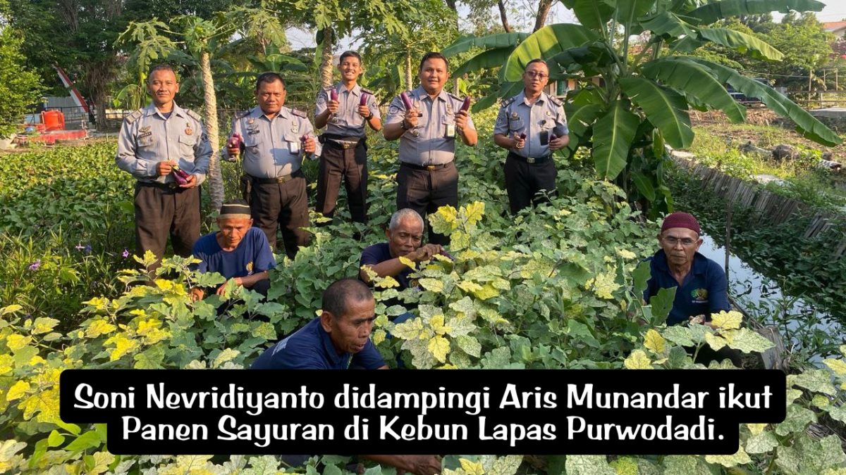 Panen Buah dan Sayuran, Wujud Lapas Purwodadi Dukung Program Ketahanan Pangan Nasional