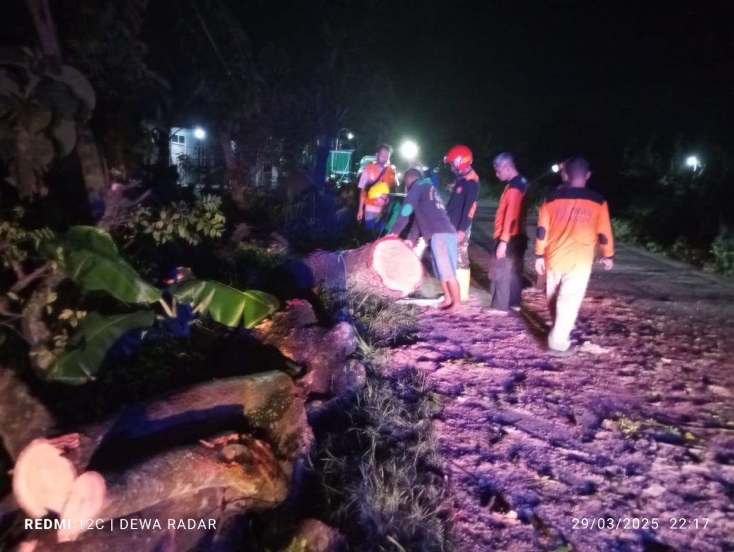 Pohon Raksasa Roboh Melintang diruas Jalan Raya Desa Gading Menuju Pungkruk Sragen