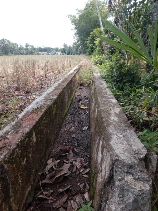Saluran Sawah di Gampong Ladang Tidak Berfungsi 