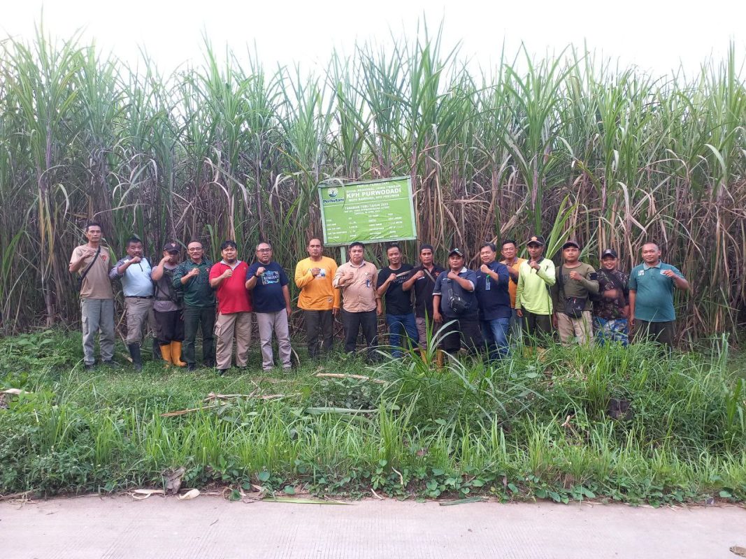 Kepala Departemen Pengelolaan Sumber Daya Hutan dan Produksi Divre Jateng Didiet Widhy Hidayat Tinjau Agroforestry Tebu di BKPH Bandung KPH Purwodadi