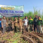 Perhutani Gundih Panen Raya Tebu Mandiri di Grobogan: Dukung Swasembada Gula Nasional