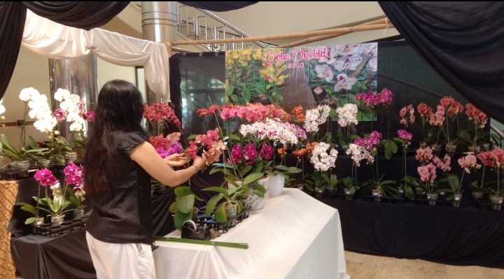 Festival Anggrek Nusantara 2025 di Solo: Pamerkan Pesona Flora dan Dukung Ekonomi Kreatif
