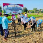 Polres Karanganyar Tanam Jagung di Lahan Pesantren, Langkah Nyata Polisi Dukung Ketahanan Pangan Nasional