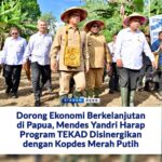 Mendes PDT Dorong Pertumbuhan Ekonomi Kampung di Papua Lewat Program TEKAD