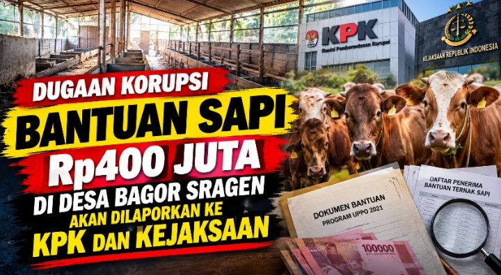Bantuan Sapi Rp400 Juta di Desa Bagor Disorot, Pengelolaan Akan Dilaporkan ke KPK dan Kejaksaan